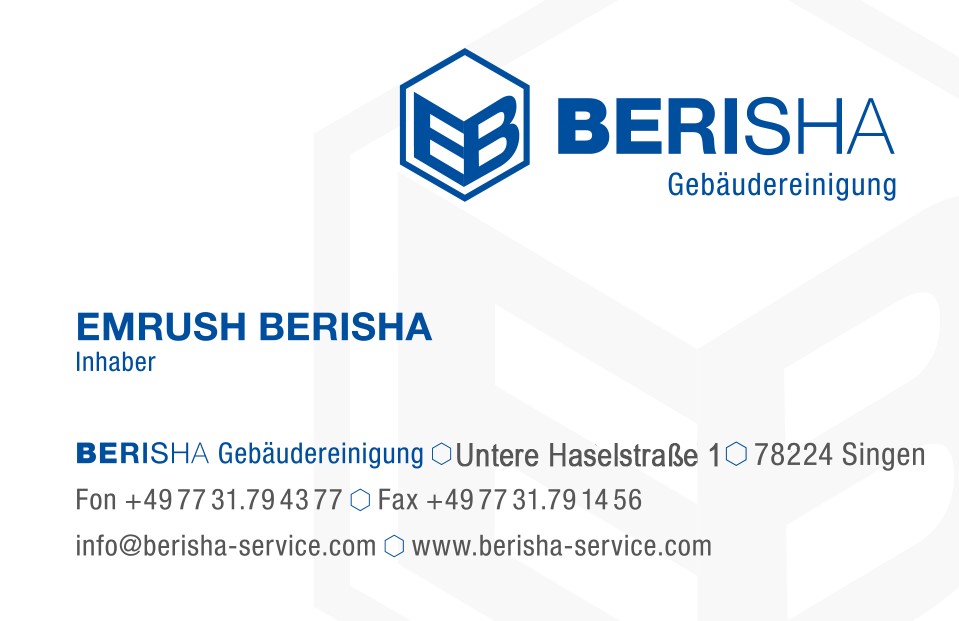 Logo_BERISHA-Service